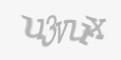 Защитный код