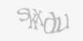 Защитный код